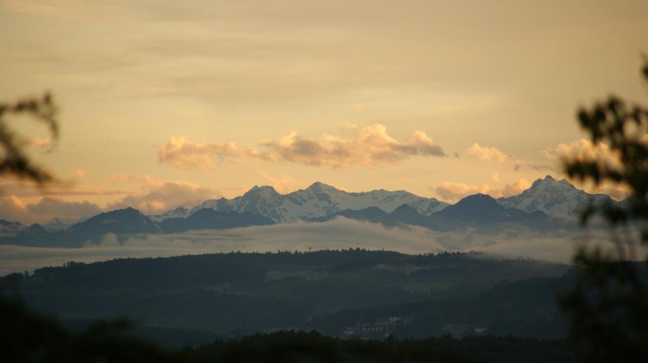 Treffhof Villa Siusi Szoba fotó