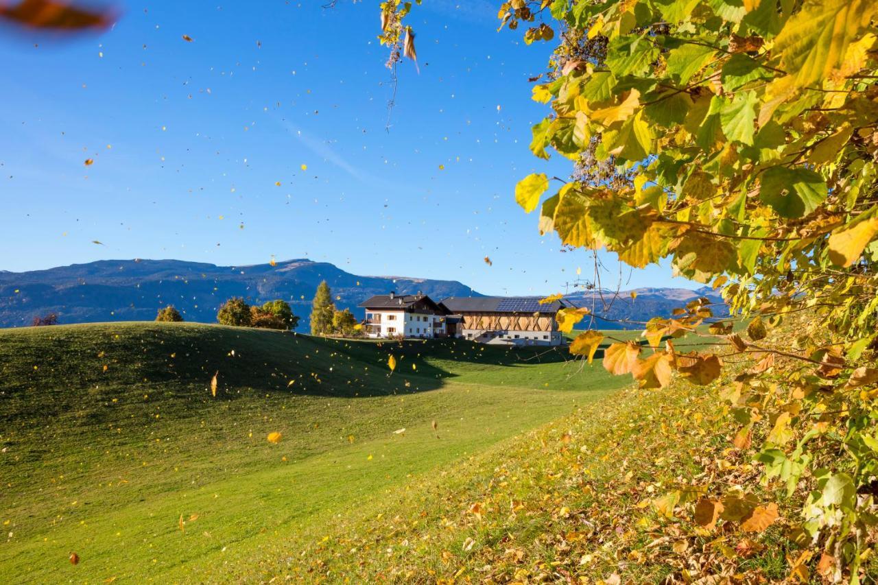 Treffhof Villa Siusi Kültér fotó